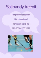 Tarvitset oman salibandymailan ja sisäpelikengät